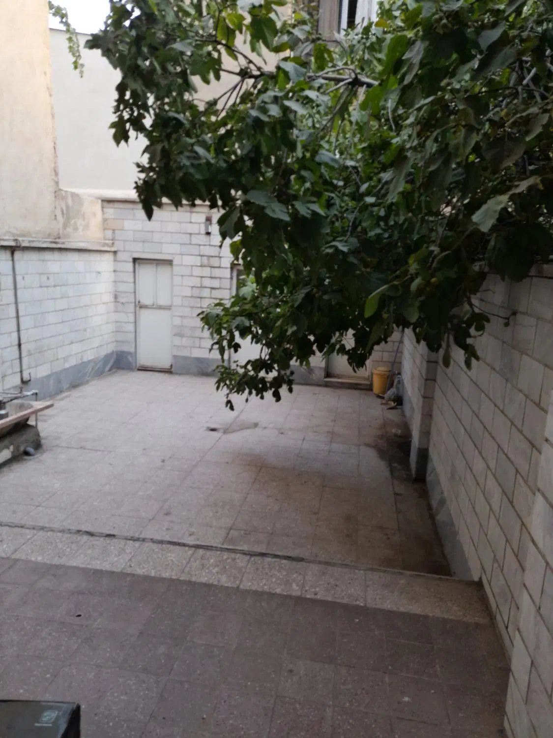 ملک کلنگی