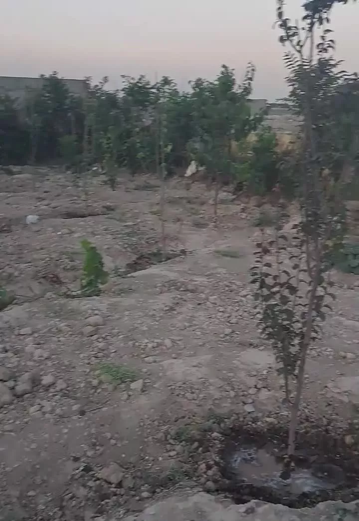 زمین مسکونی