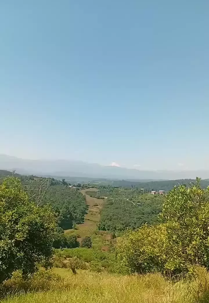 320 متر سند تک برگ واسکس