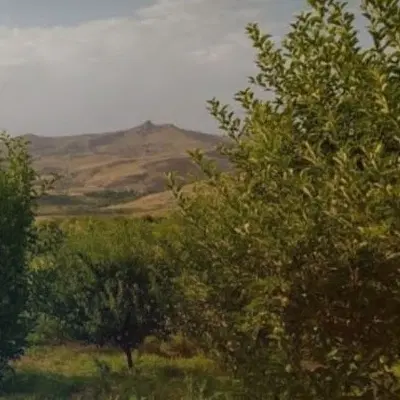 فروش باغ