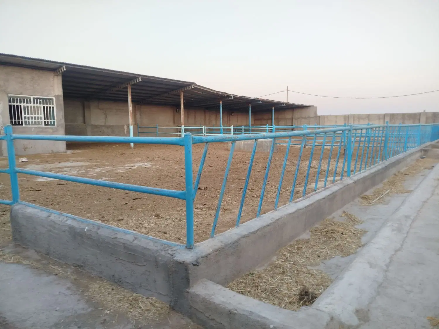 گاوداری
