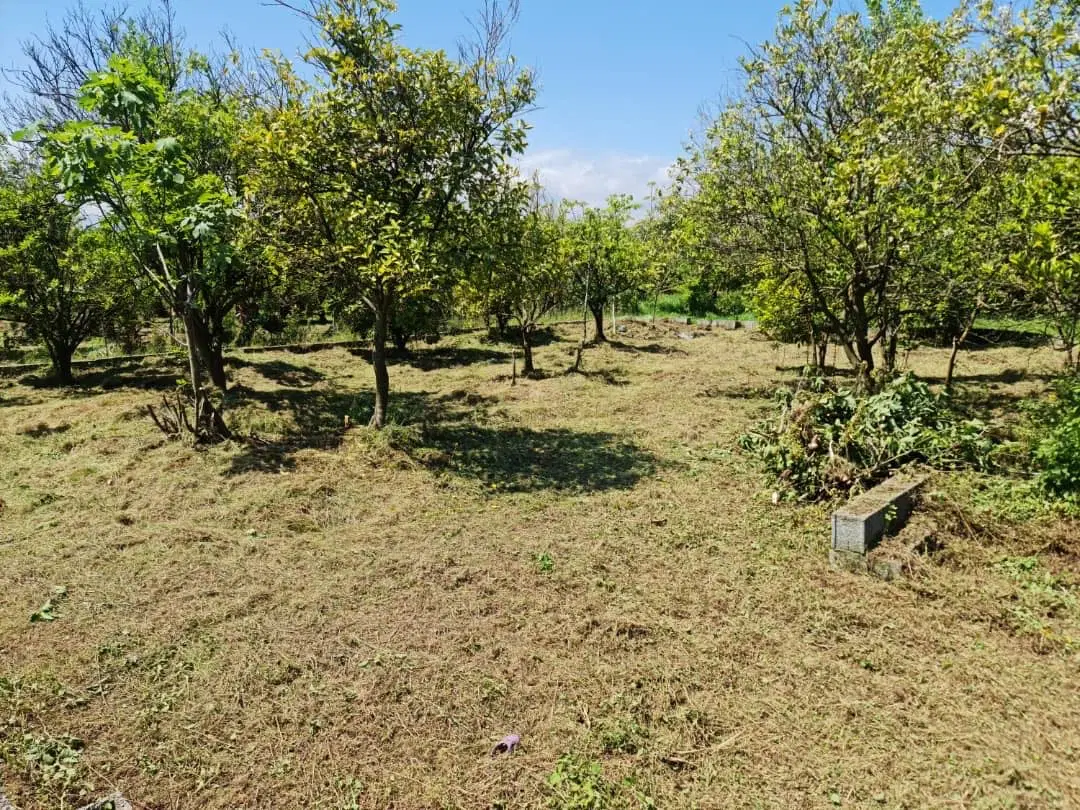 زمین چناربن