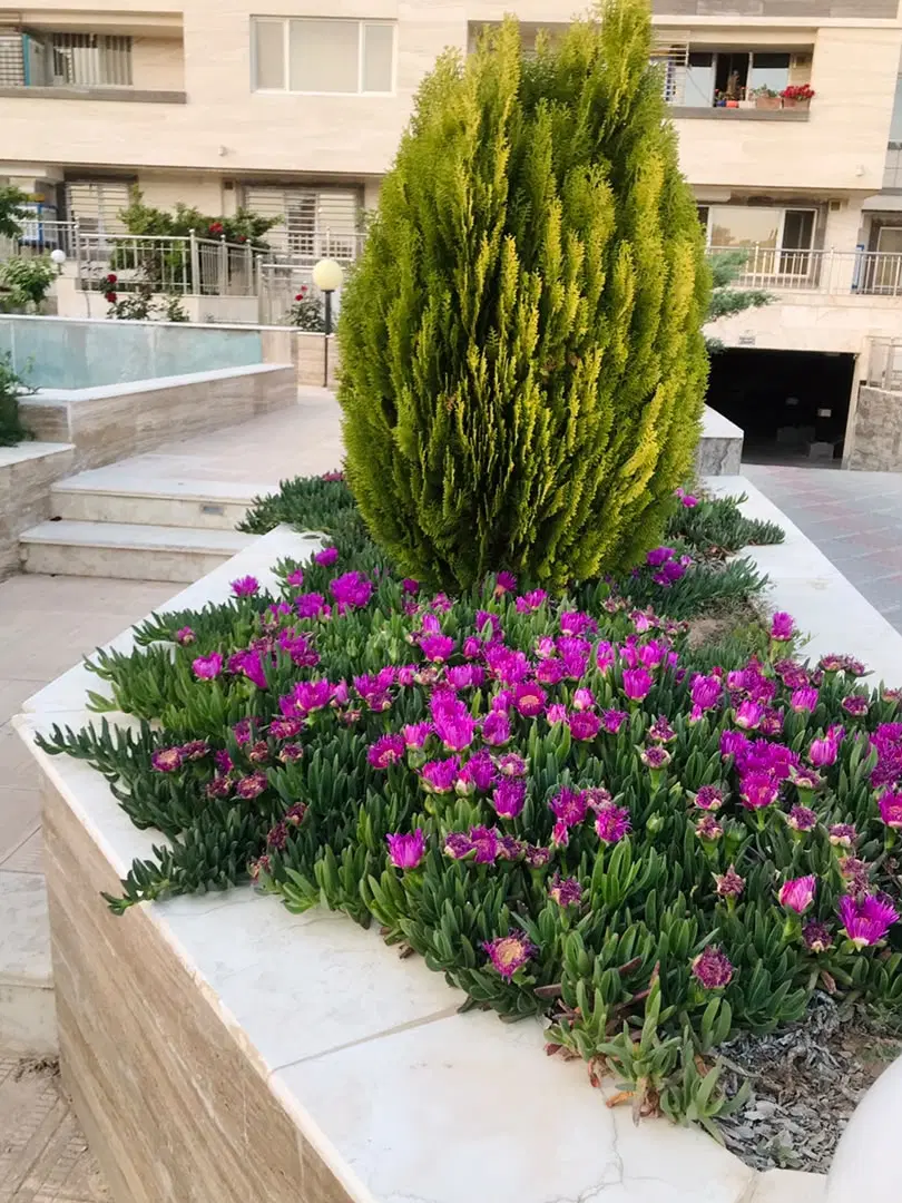 فروش فوری آپارتمان 165 متری 99 درب از حیاط