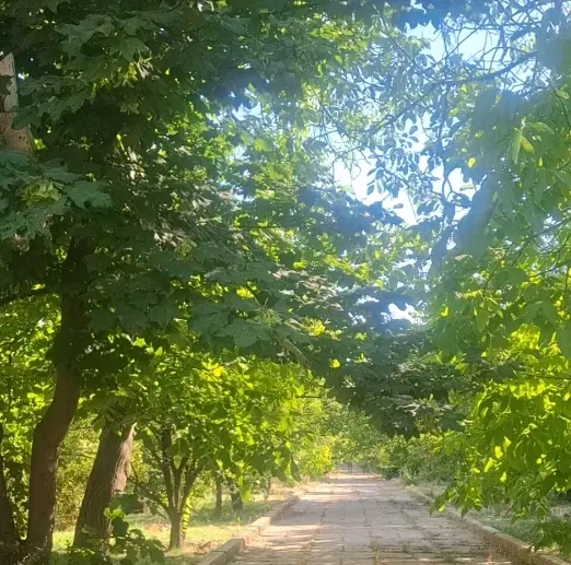 باغِ تجاری مسکونی