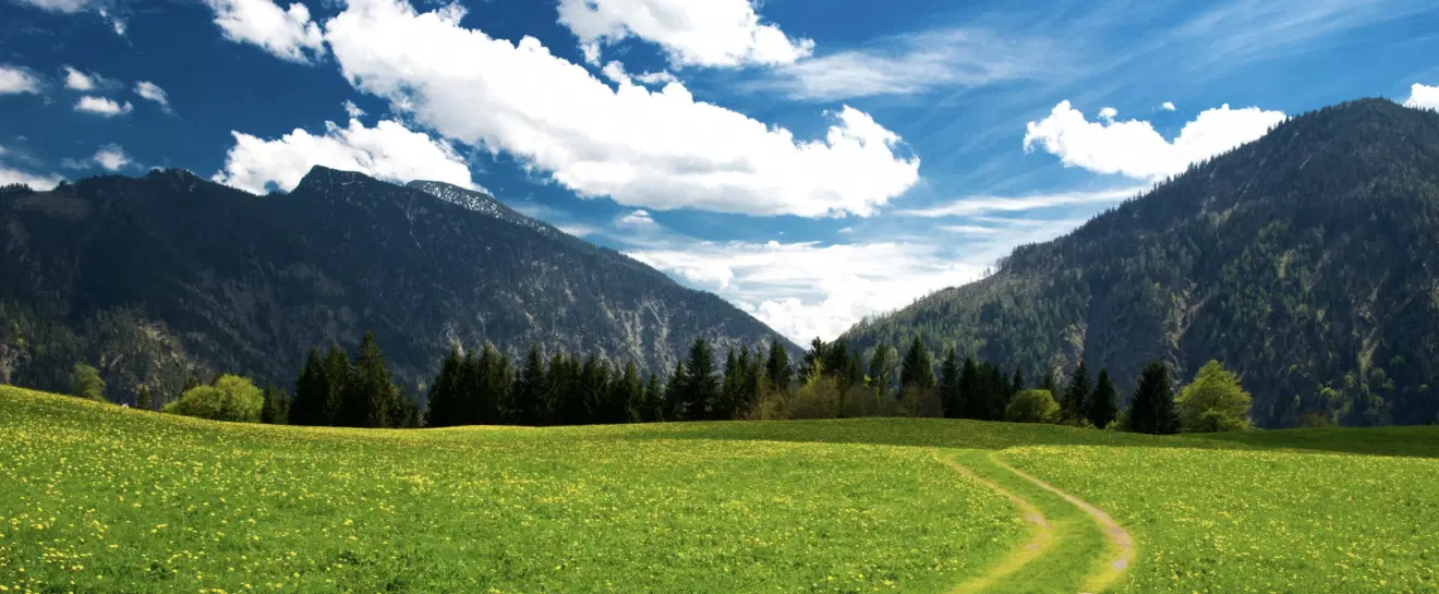 زمین باغی پلاک ۲خیراندیش