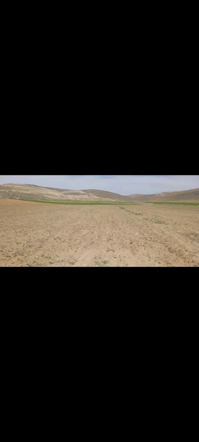 3 هزار. متری.   زمین. دیم روستای. سور