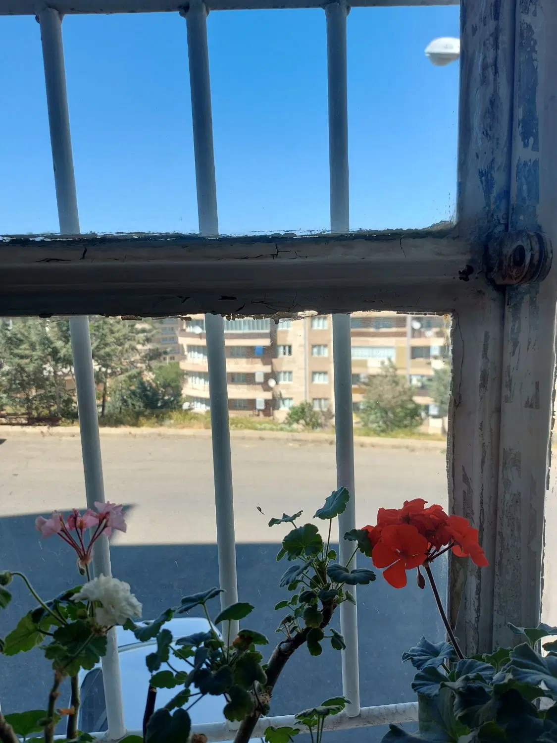 اجاره خانه