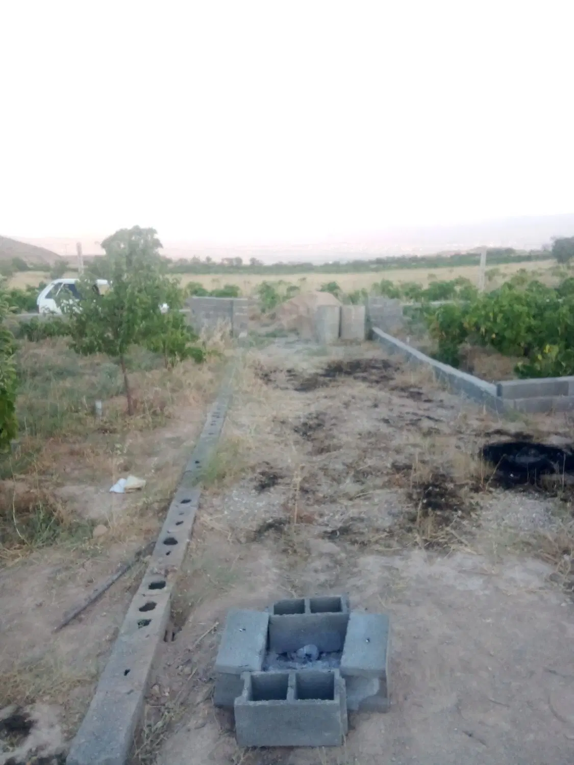 باغ فروشی روستای لنگر جاده آخر داغ
