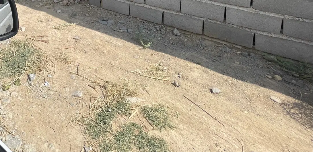 زمین مسکونی سند دار