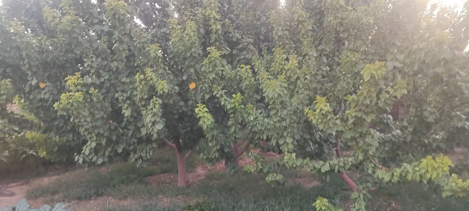 200متر زمین مسکونی بهترین جای حصار خروان