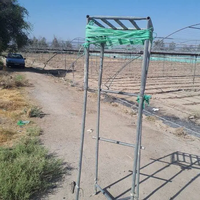 گلخانه اجاره ای