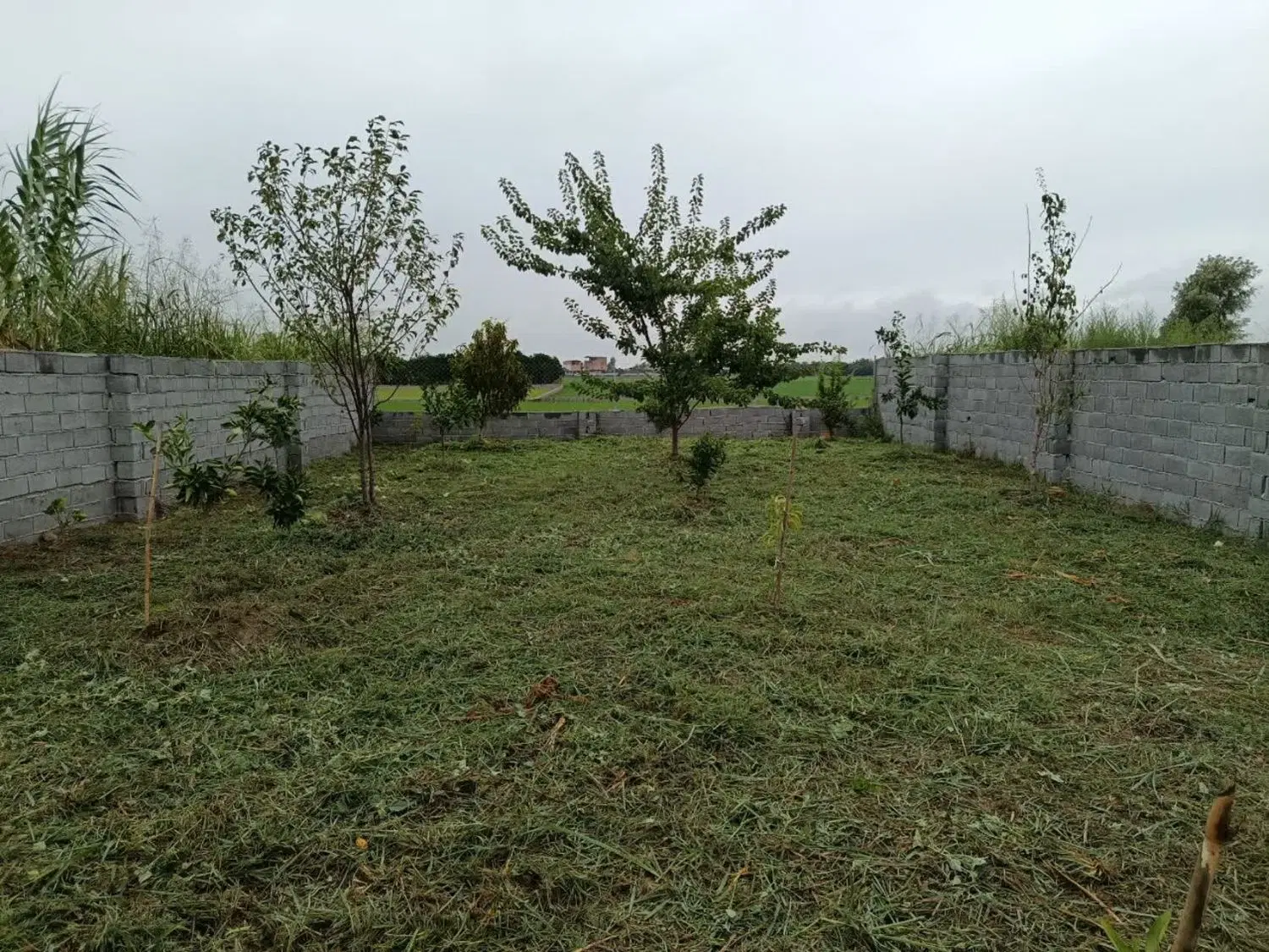فروش زمین باغی
