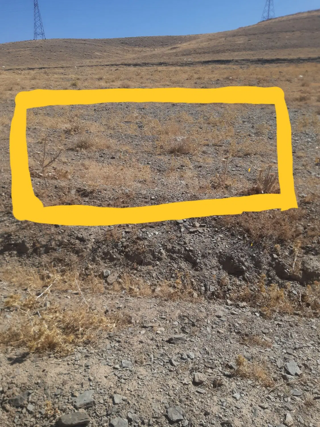 زمین باغی ومسکونی به متراژ۵۶۰متر به طول ۲۸در۲۰