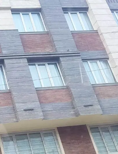 همخونه