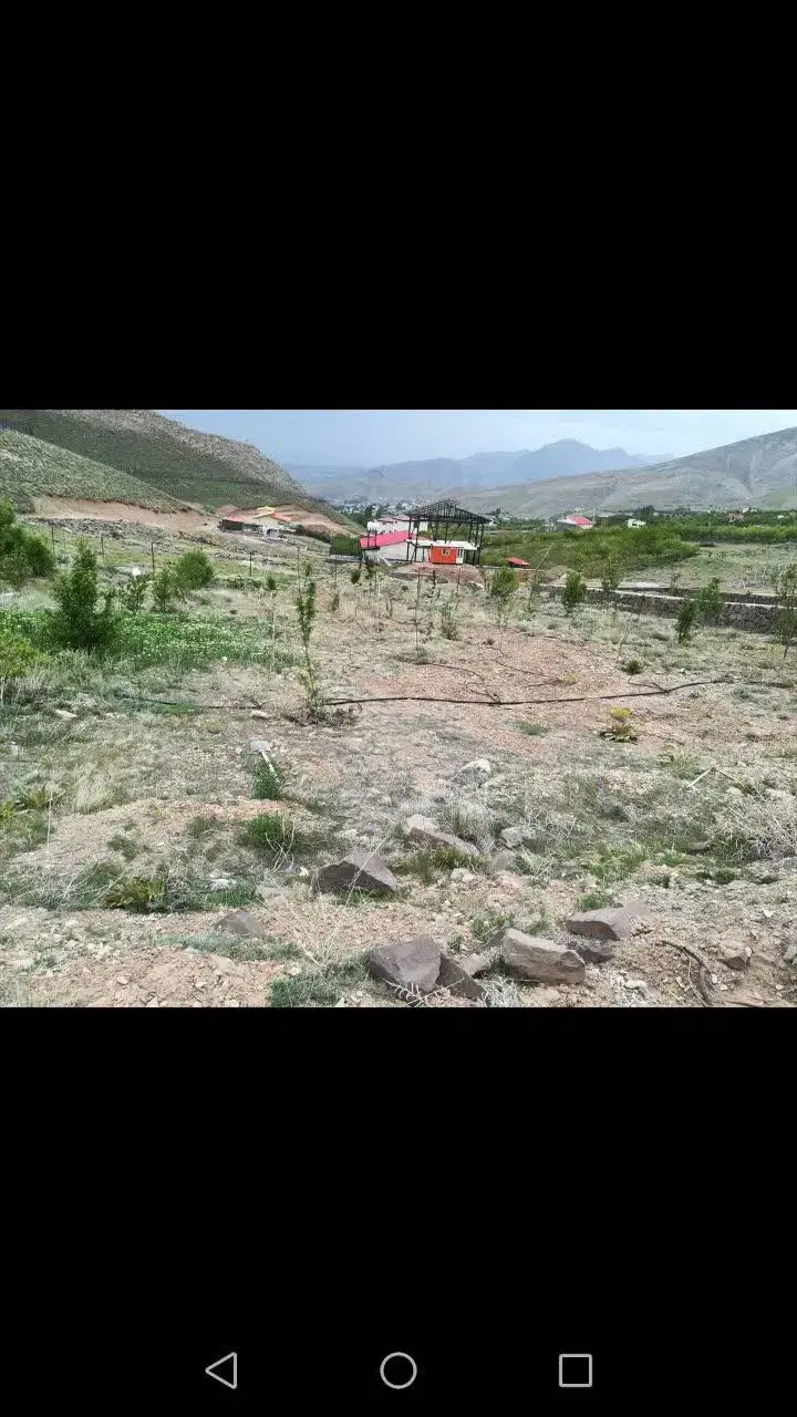 زمین اشندر  چنار شرق دماوند
