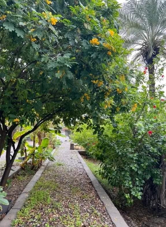 میناب بهمنی زمین باغ ویلا