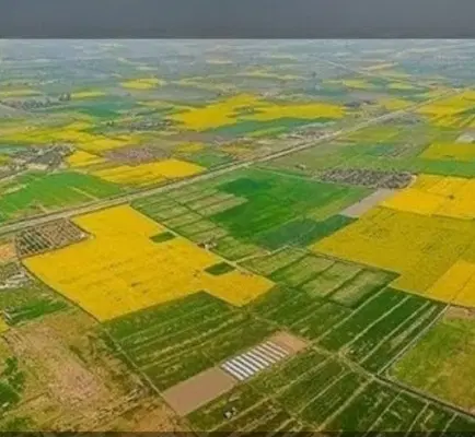 زمین کشاورزی اجاره میکنم