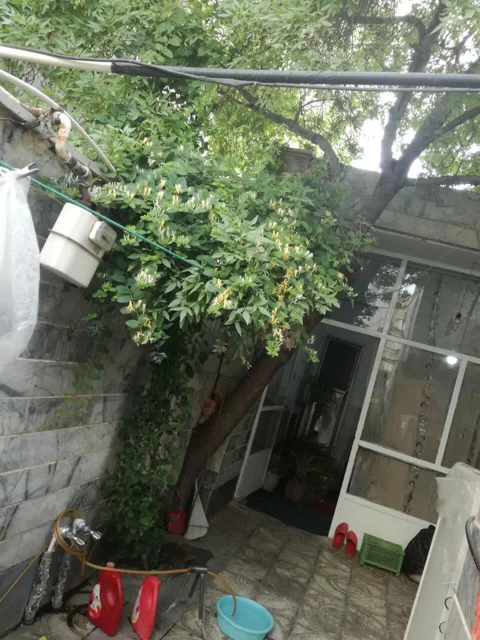 خانه ویلایی با دو مغازه زیرزمین‌دار