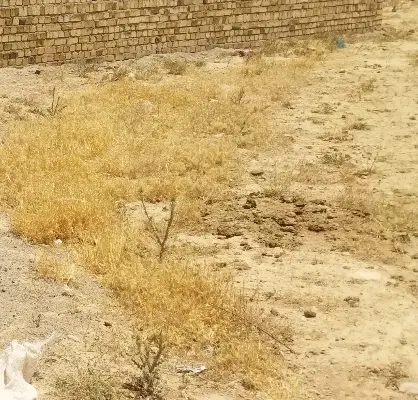 فروش زمین  غیر محدوده
