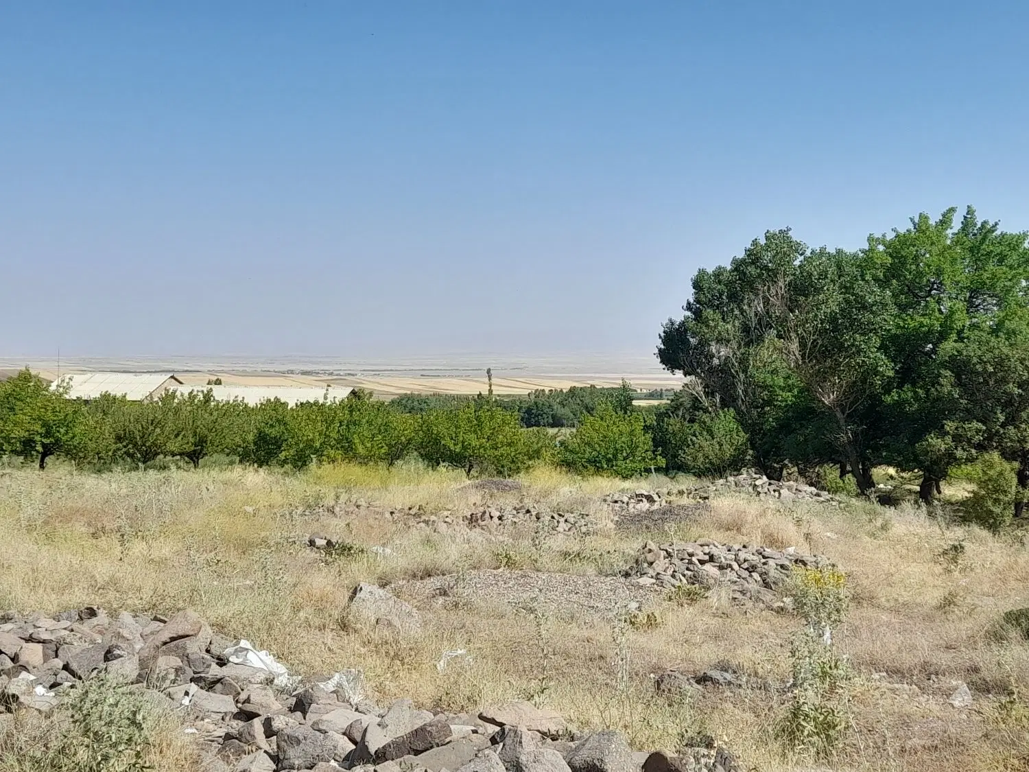 مالی