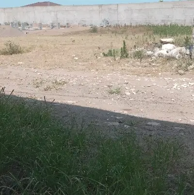 ۲۵۰متر زمین با پروانه ساخت
