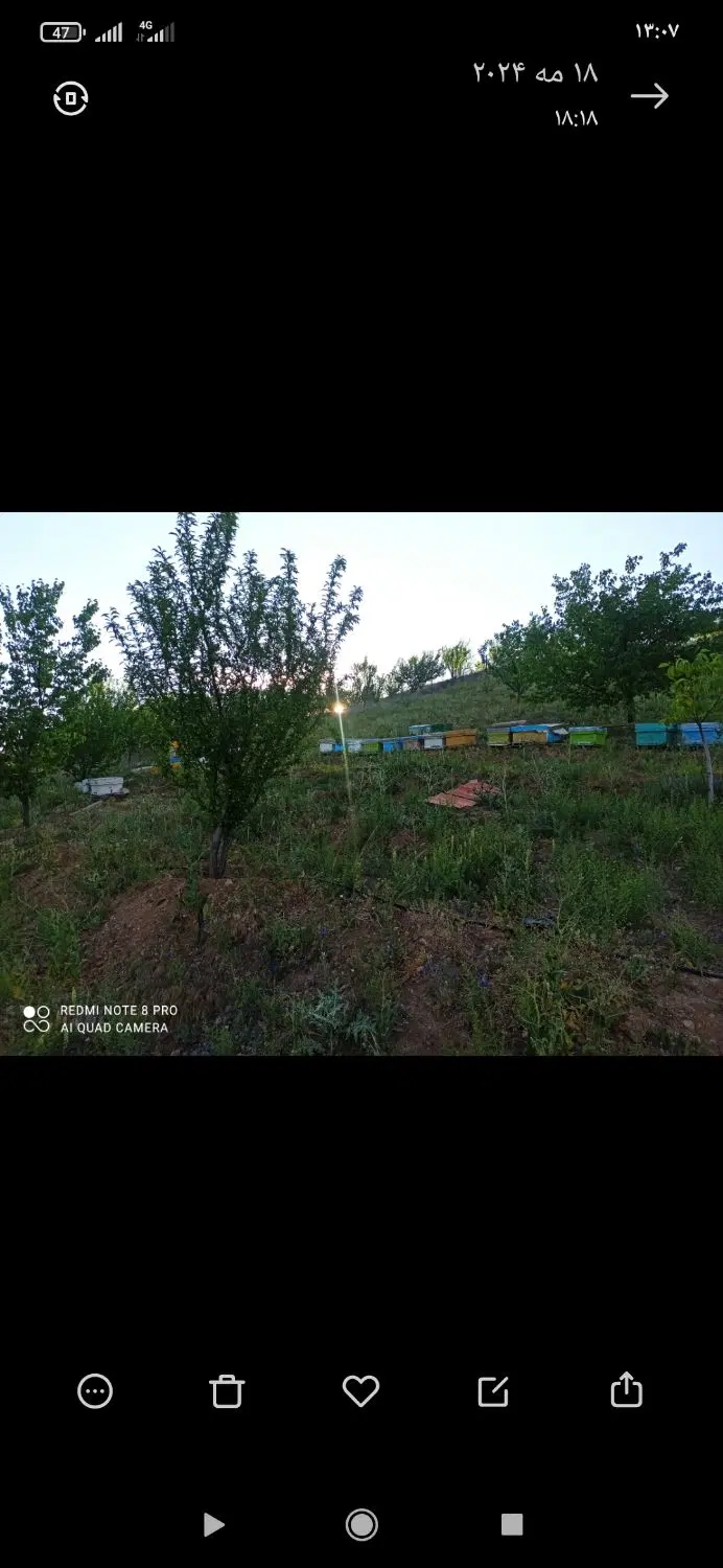 فروش باغ در روستای قیورجاق