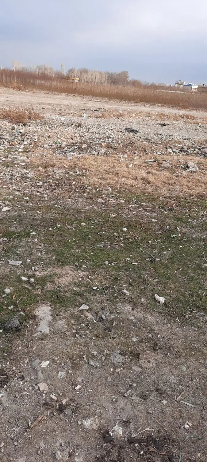 ۱۰۳ متر زمین کوی بهار (تپه قشلاق)