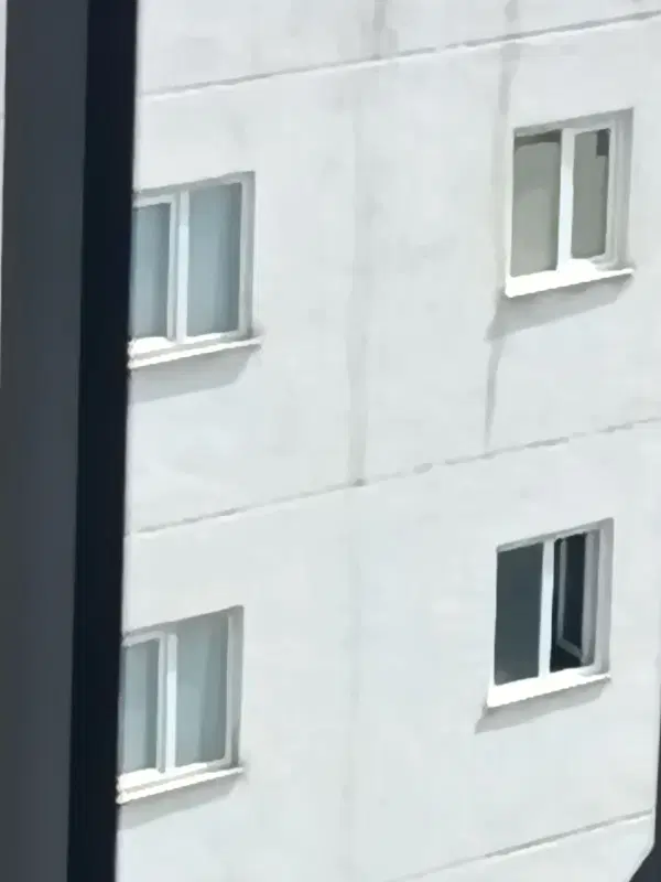 همخانه خانم