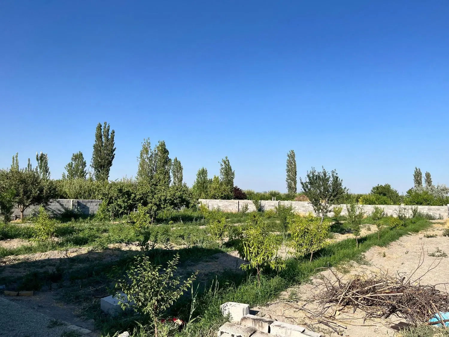 باغ الوان ۱۲۰۰ متری