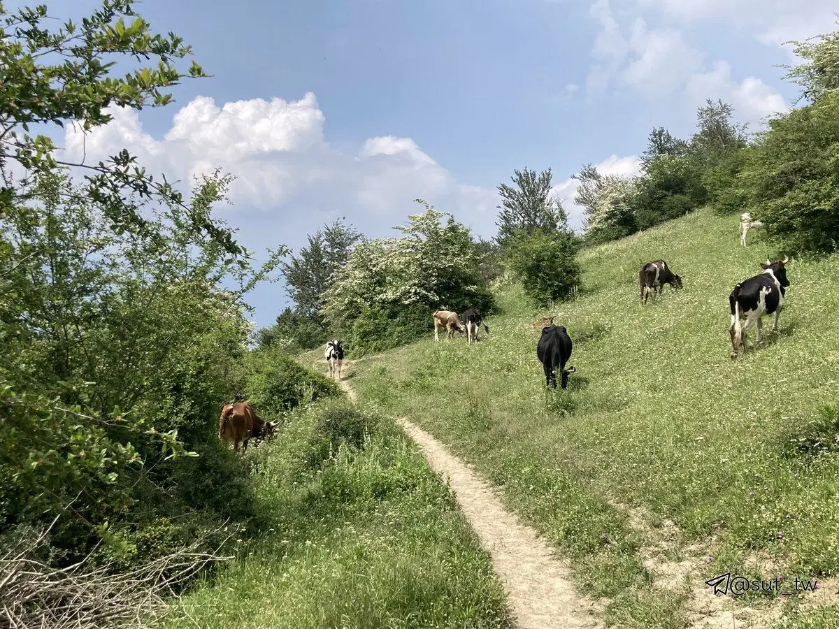 معاوضه زمین با آپارتمان و خودرو صفر