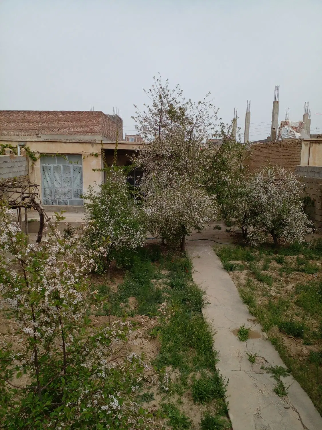 خانه در جاده شاهین دژ
