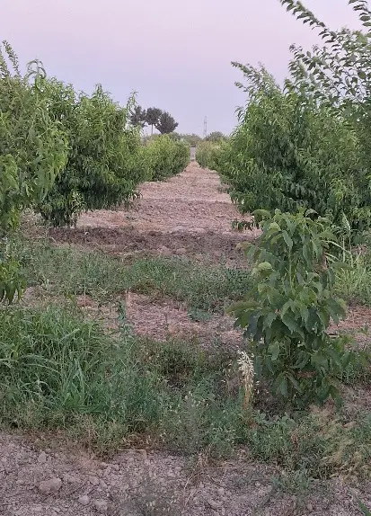 فروش زمین منجیل اباد رباط کریم