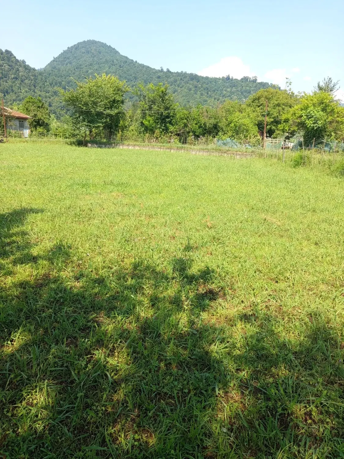 زمین  کلنگی