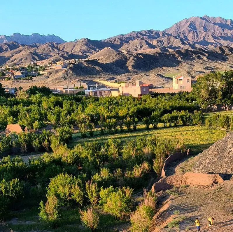 زمین در سنگ سفید