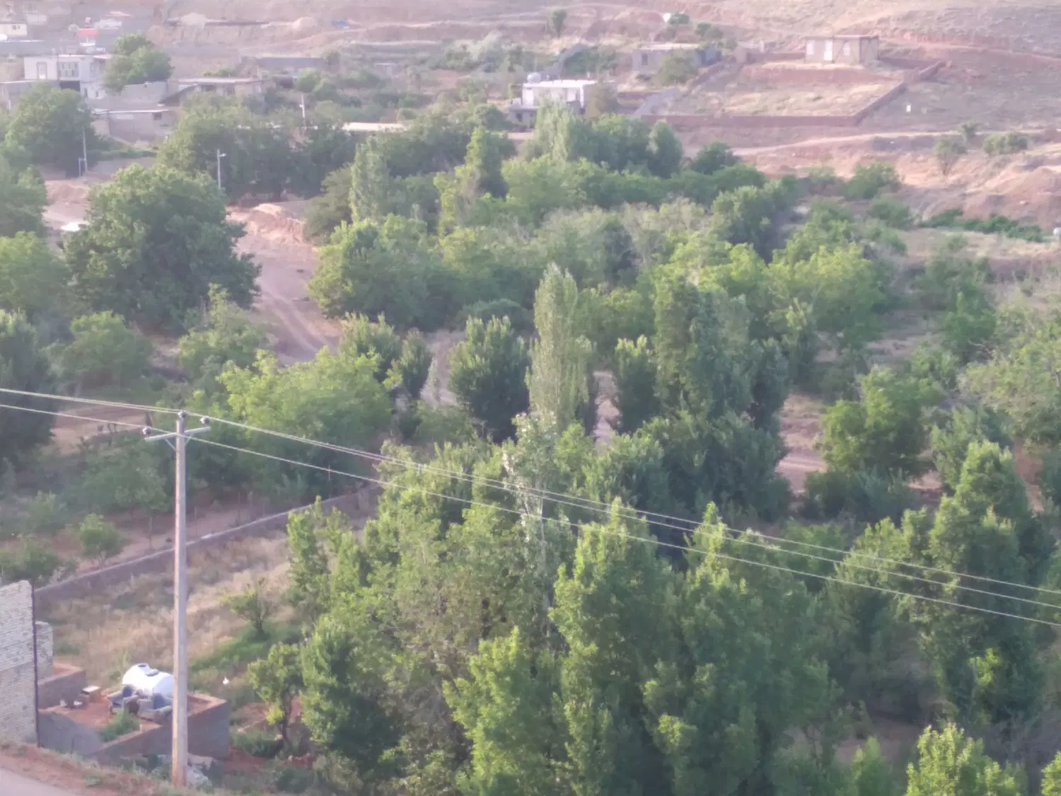 زمین دیم باسند ششدانگ وباقولنامه شورایی