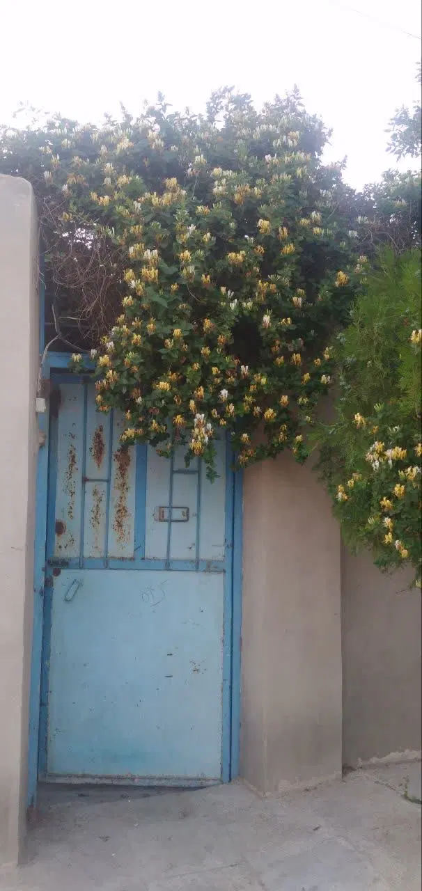 باغ میوه و دامداری