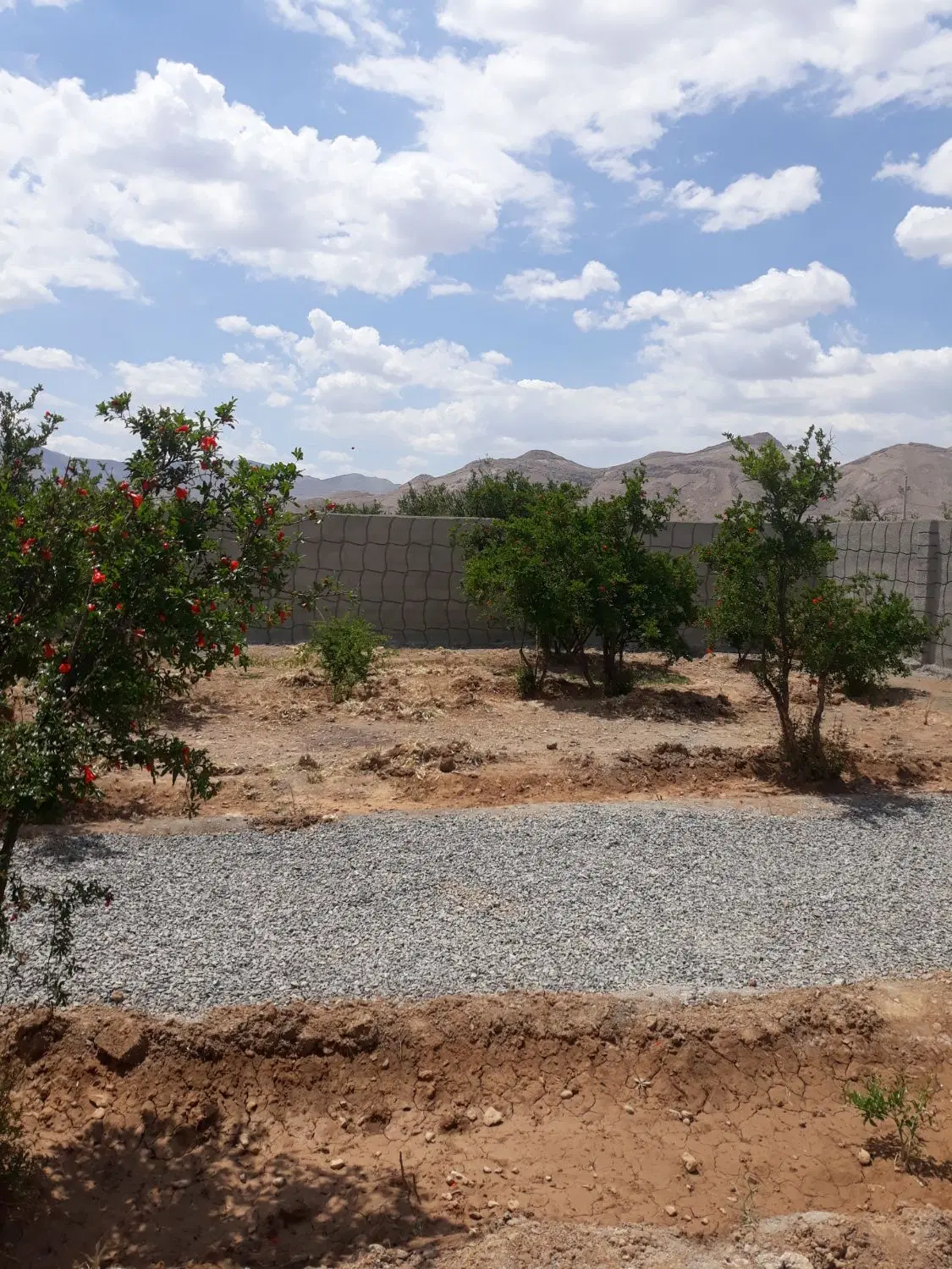فروش باغ چهار دیواری