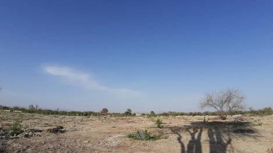 زمین کشاورزی(اجاره)