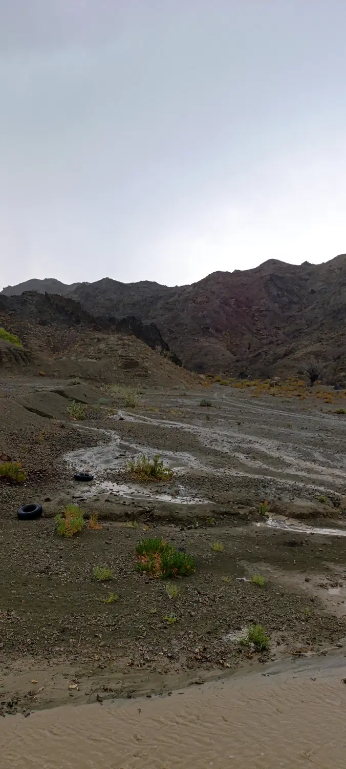 زمین مسکونی