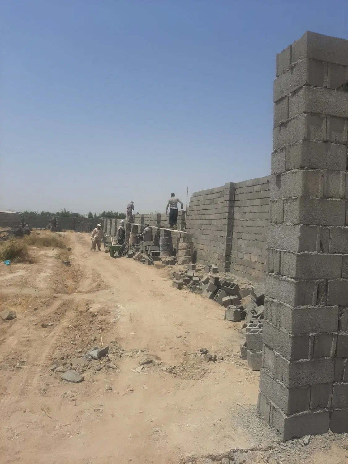 زمین باغی ۵۰۰ متر دهشاد قاسم آباد