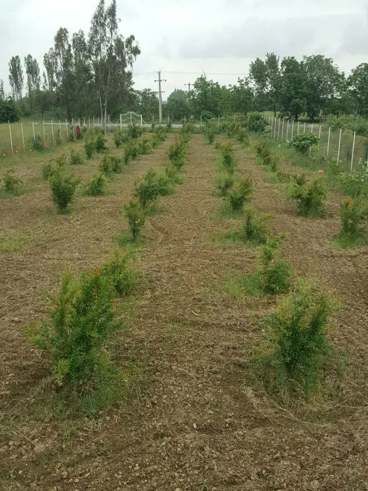 فروش باغ ۲۰۰۰ متری با امکانات کامل، خوش موقعیت