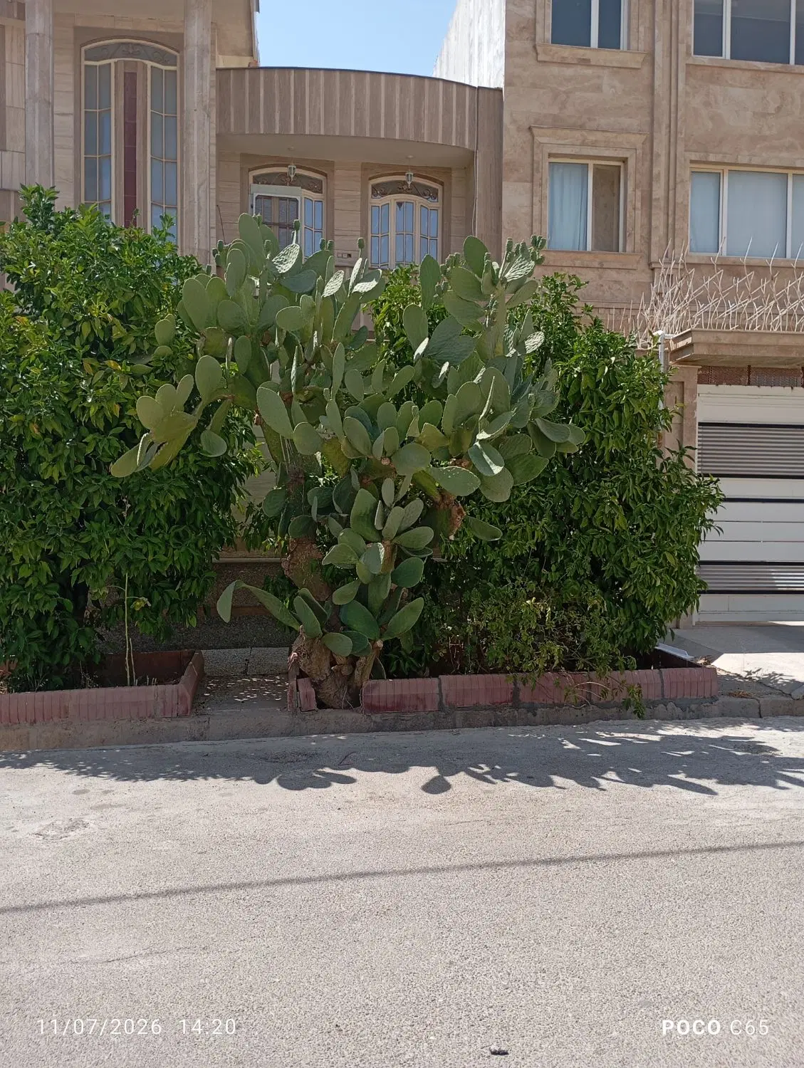 زمین شهرک صادقیه
