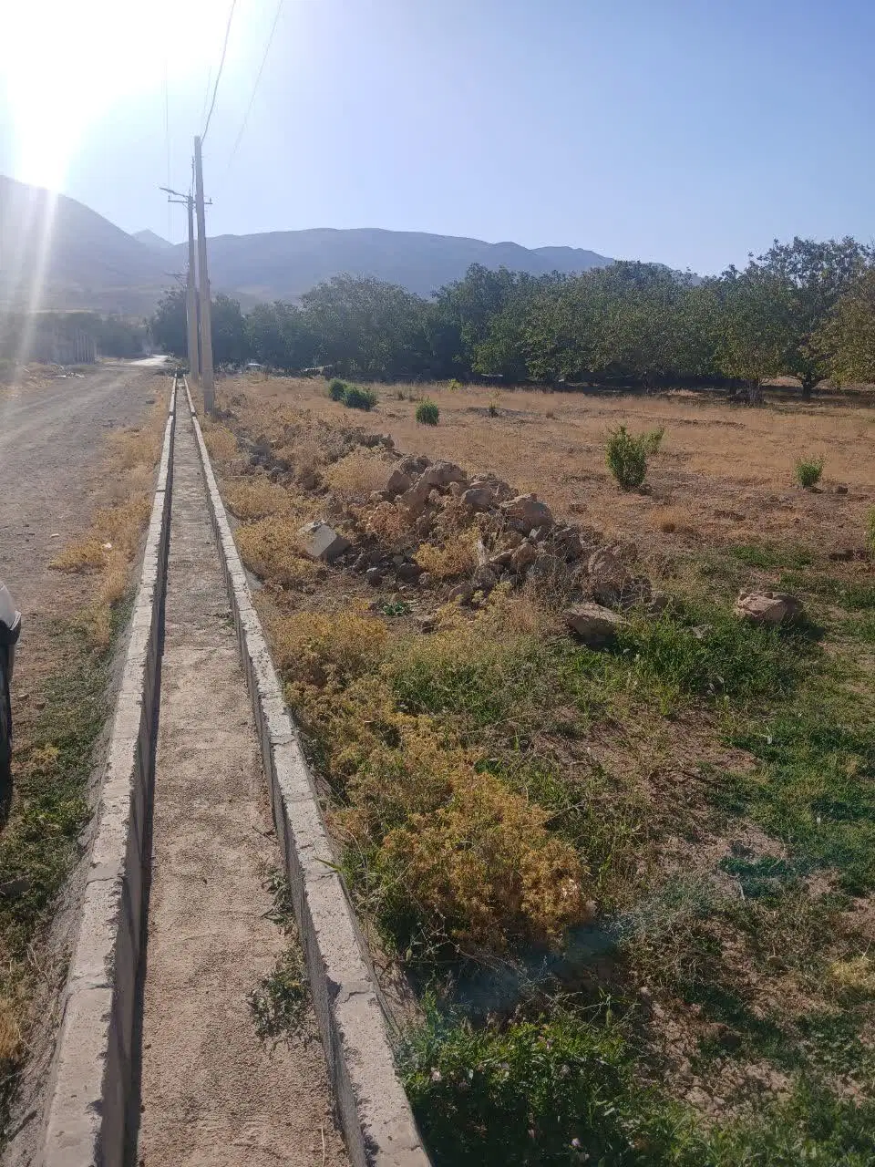 زمین و باغ در بهترین لوکیشن چغاخور