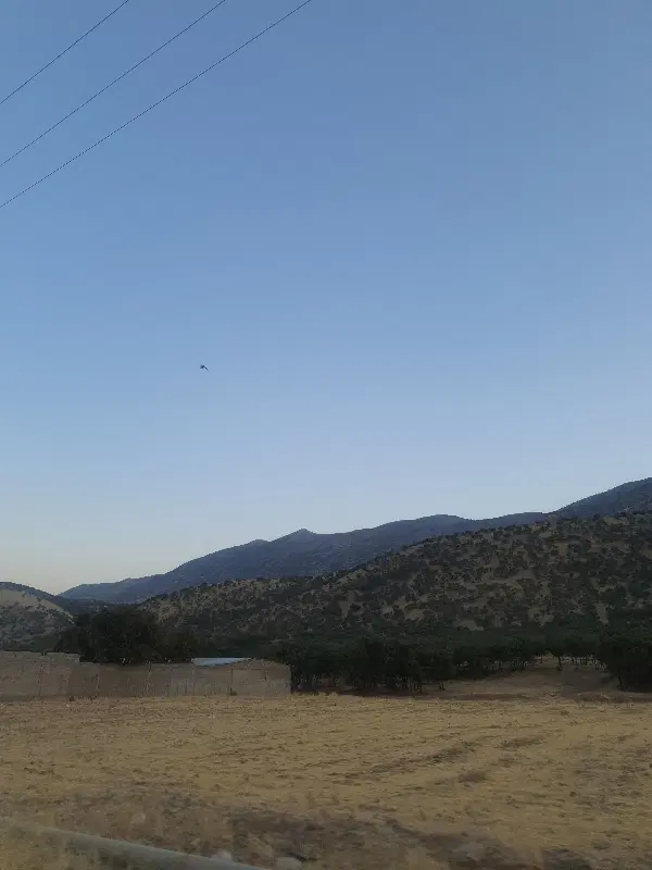 زمین تجاری