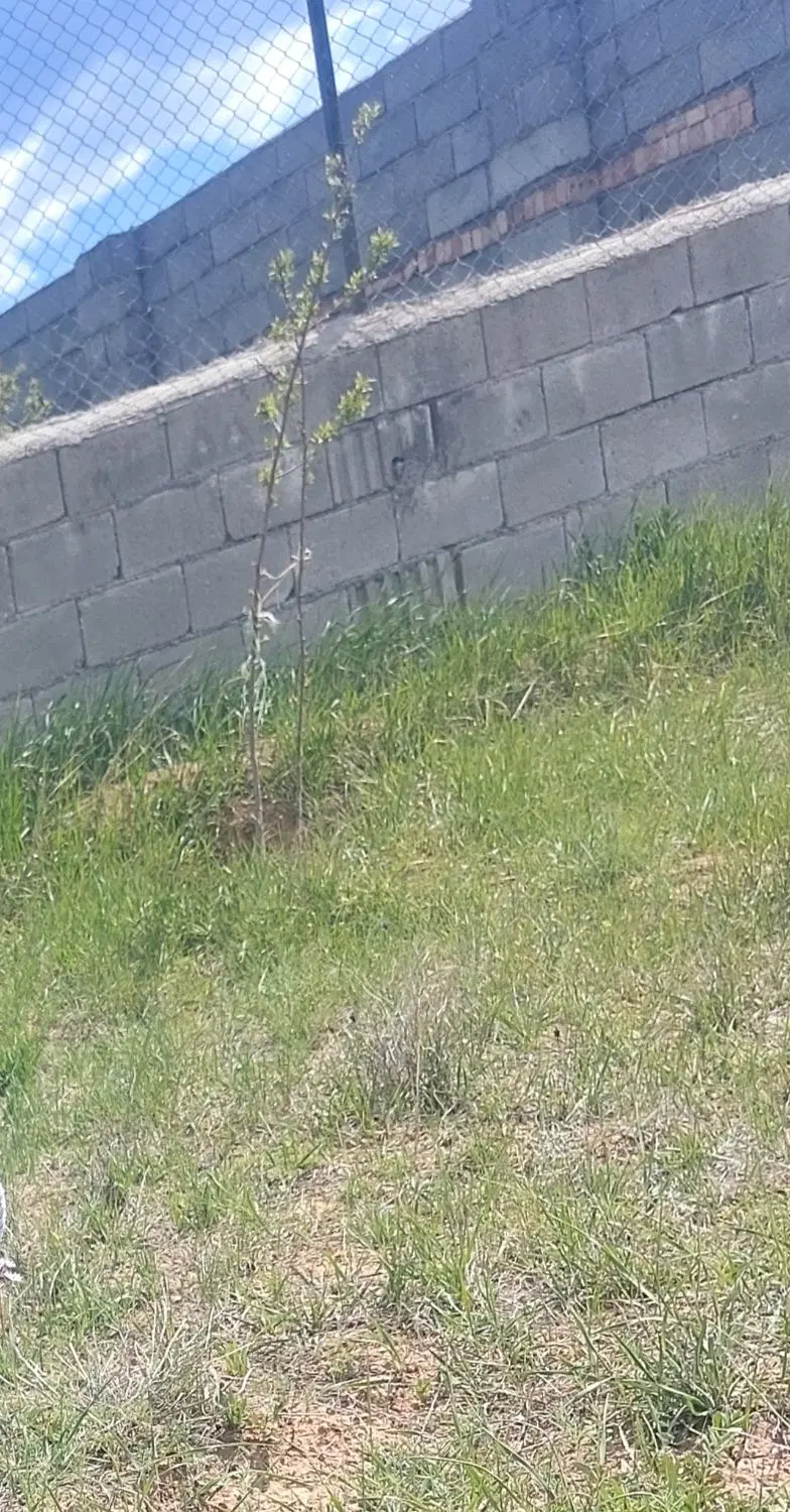 زمین ویلایی،زراعی دراسپیران