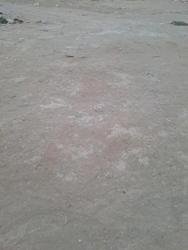 زمین پشت تالار عمارت