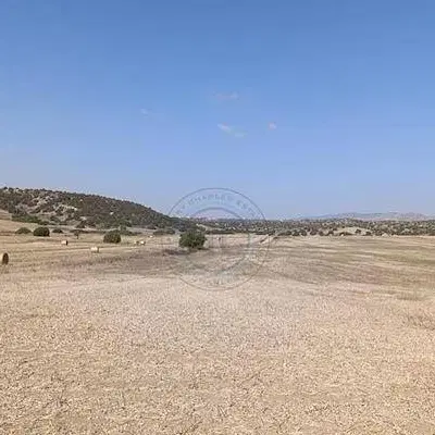 ۱۰۰ متر زمین در زینبیه بلوار دانش اموز