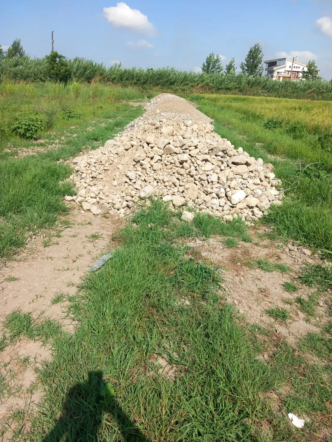 ملک در کرچک