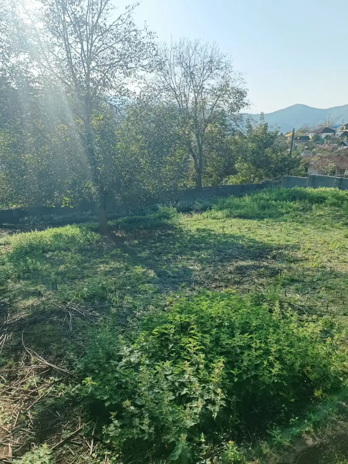زمین 690 متری با سند و پروانه ساخت روستای پاشاکلا