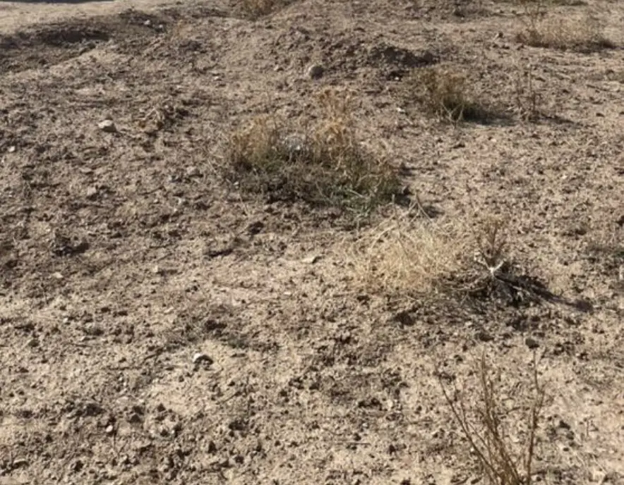 زمین ۳۴۰ متری فاز ۲ آبسرد- تک برگ